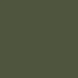 Olive Green Texture